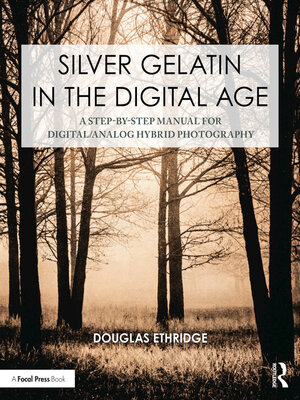 cover image of Silver Gelatin In the Digital Age